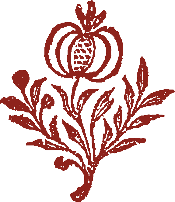 Favicon for soranostra.com